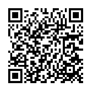 对生物技术的投资的政治毫无疑问是在人体基因组计划中二维码生成