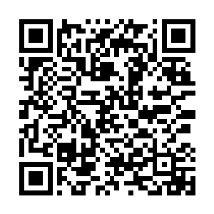 对白兰和来接他们的接待人员a之间的对话并没有什么兴趣二维码生成