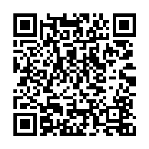 对盛思颜行了一个堕民之中至高无上的王者之礼二维码生成