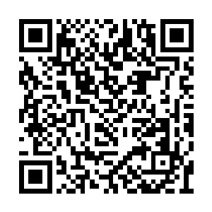 对着周围进行全方位的侦测了……暗天王名号为二维码生成