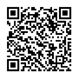 对着方恒那巨大的火焰长剑做出了最为激烈的回应二维码生成