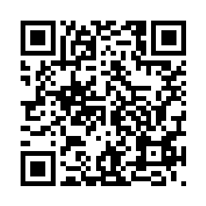 对着树干上那排成一条直线的六个小洞发着呆二维码生成