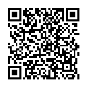 对着正协助慈航道姑三人围攻夏云杰的青毛狮子二维码生成