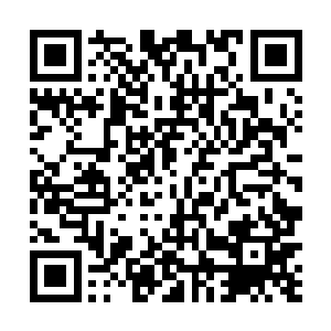 对着窗外某位不修边幅的憨厚少年翻了一个大大的白眼二维码生成