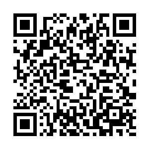 对着那由大变小的鸟头直接轰出了一大片的多因果攻击二维码生成