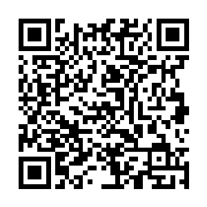 对着面前这个飞扬跋扈和自己年纪相仿的十三公主二维码生成