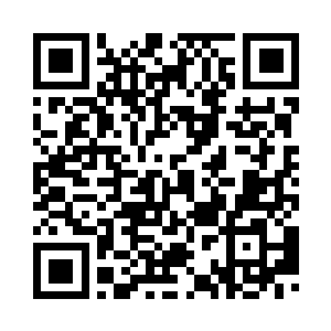 对美丽的追求是我毕生的唯一追求二维码生成