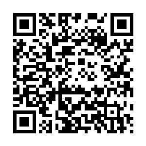 对自己笑……好像自己最后一次看他笑还是他四岁的时候吧……二维码生成
