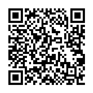 对血妖姬们生出兴趣的六爷看都没有看夕桐一眼二维码生成