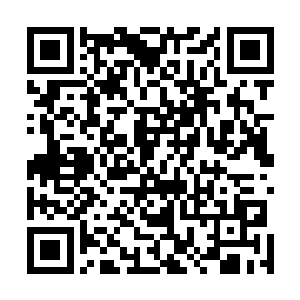 对觉哥这种经常在惊吓盒子里一站就是几个小时的人来说二维码生成