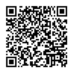 对这个以金钱交易关系凌驾于法律和人权之上的杀手组织恨之入骨二维码生成