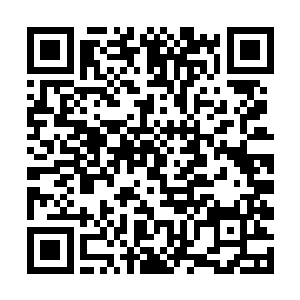 对这些书香士族高门子弟总是有几分又羡又妒的感觉二维码生成