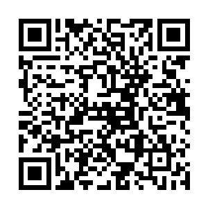 对这些部门的主要工作以及运作情况也有了初步的了解二维码生成