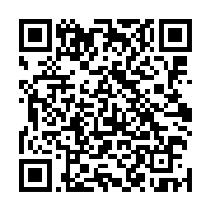 对这些风往哪边吹他就往哪边倒的官油子没有一点儿好感二维码生成