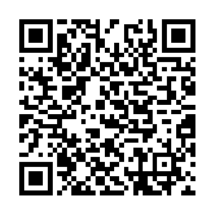 对这位据说是自己丈夫非常器重的副市长印象颇深二维码生成
