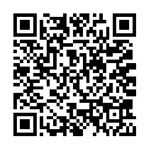 对这巅峰灵兽王的内丹根本一点兴趣都提不起来二维码生成