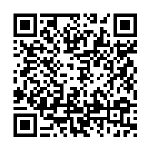 对这沉疴墨莲势在必得……并非故意与阁下作对二维码生成