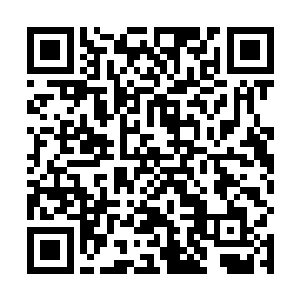 对那个将自己一伙人引入客栈的公子哥就又有一些怨言二维码生成