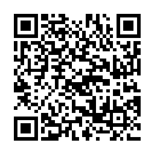 对阵传奇之上的邪灵领主……再丰富的经验也没有用了二维码生成