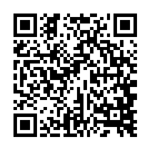 对面一个绚烂得好似野鸡一般的家伙顿时嘎嘎大笑起来二维码生成
