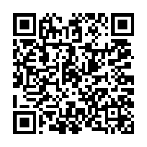 对面峡谷上剩余的魔宫中人不敌又一批到来的黑衣人二维码生成