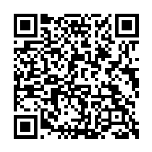 对面是由夏织造的庶子夏三少爷和夏四少爷主持二维码生成