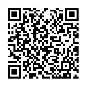 对面的中单没有真如周可儿所说的那样选用炸弹人二维码生成