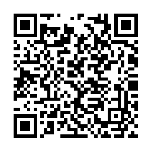 对面的六个圣级大圆满混沌兽和域外天魔楞了一下二维码生成