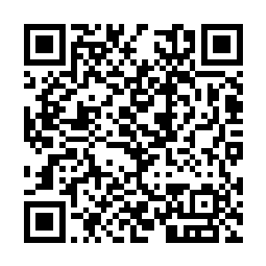 对面的几个人随着张潇晗前进的脚步不由后退起来二维码生成