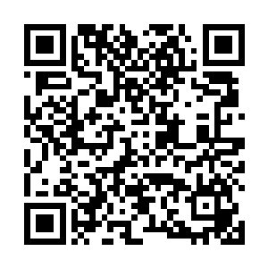 对面的十二个筑基期大圆满修士主在瞬间被轰成了齑粉二维码生成
