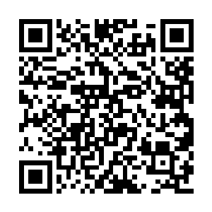 对面的十几个照日天宗弟子分明是有些进退失据二维码生成