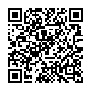 对面的发条即便看到陈诚在排眼也不敢轻易靠近二维码生成