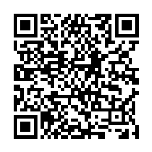 对面的域外天魔那巨大的身体便被许紫烟一剑斩成了两半二维码生成