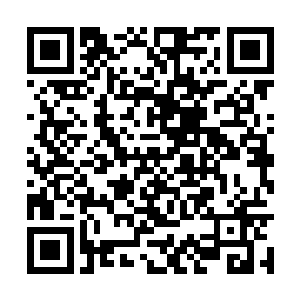 对面的墙壁上则被一大片剪贴画一般的报纸所覆盖二维码生成