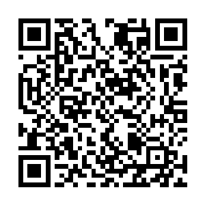 对面的幽冥狼王此时仿佛也感受到了九个人身上的变化二维码生成