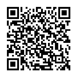 对面的庾重真很是赞赏地用手中官牒点了点杨庆二维码生成