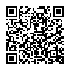 对面的炸弹人就仿似彻底看透了snake这边的战术一样二维码生成
