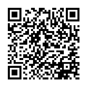 对面的蝎子便被骗到了靠近上半野区的中路河道草丛二维码生成