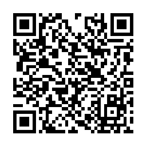 对面的那个罗天上仙初期修士见到许紫烟等人走来二维码生成
