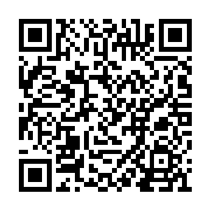 对面的那头不死凶兽尸骸口中发出低沉的嘶吼声二维码生成