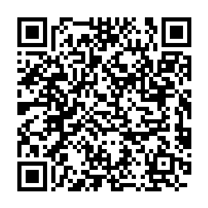 对面的魔魂道九大高手的脸上尽都露出来残忍疯狂至极的狰狞神色二维码生成