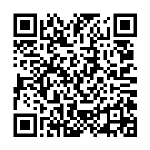 对面那个苍老但是却中气十足的声音瞬间提高了几度二维码生成