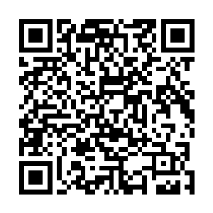 对面那头至尊灵兽层次的不死凶兽尸骸几乎只要一个猛扑二维码生成
