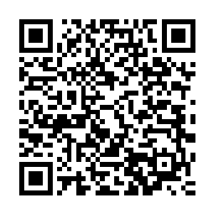 对面那对他不怀好意的红角祭司也因为他的祝愿陷入美好梦境二维码生成