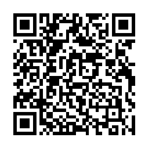 对韩风这个不算是雷家血脉的到来也是呈不欢迎状态二维码生成