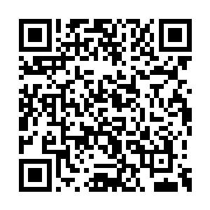 对音乐更感兴趣的哈利则时不时地科普着一些梗二维码生成