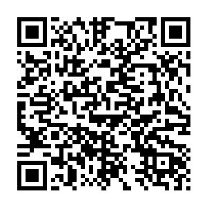 对魔族男爵来说完全就像是一个路人甲的张三李四一样的代号一样二维码生成