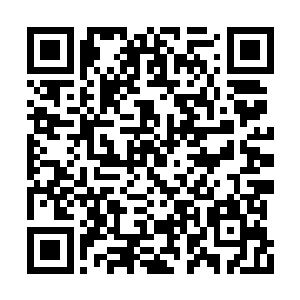 对龙傲天最重要的无疑是紫霄震天戟和傀儡龙影二维码生成