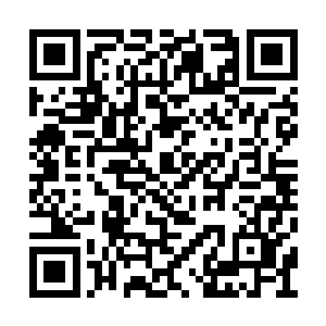 对龙虎真罡的领悟瞬间上升到了一个全新的高度二维码生成