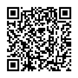 寺里的小沙弥们都知道黎王妃是在为自己的儿子祈福二维码生成